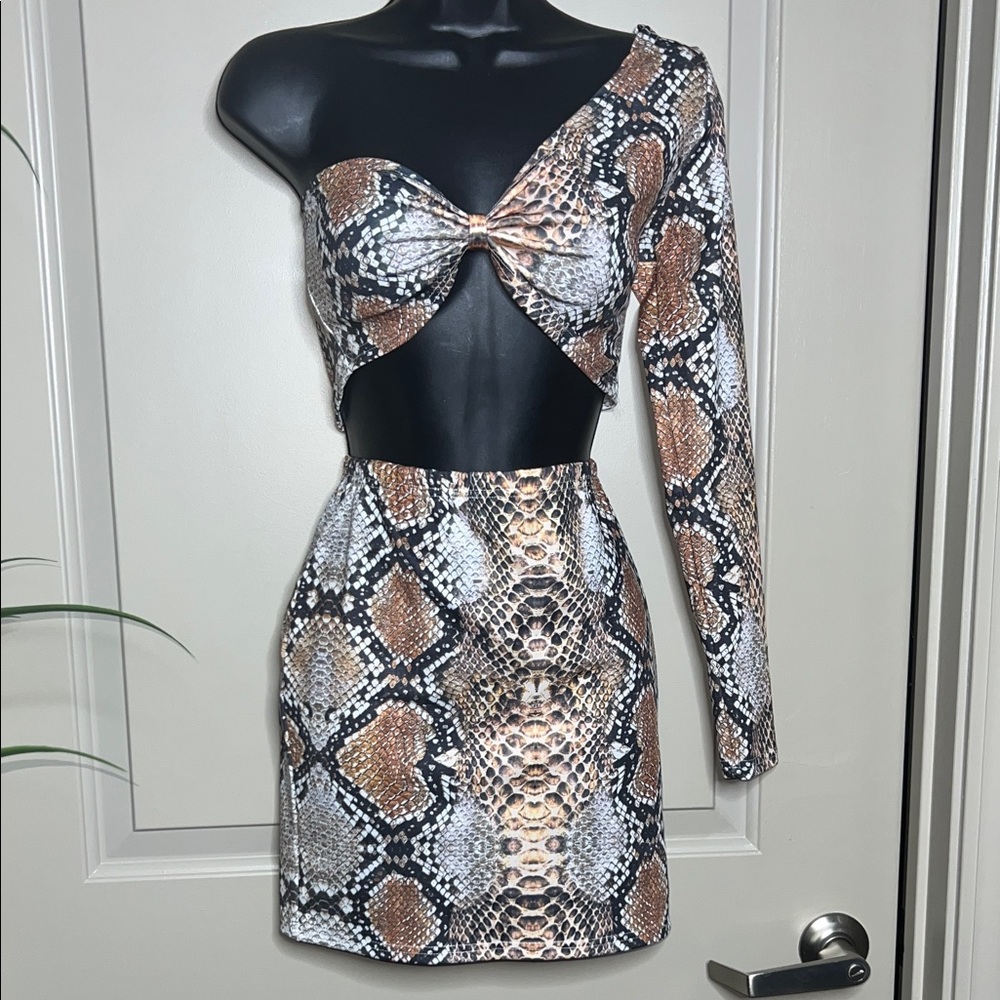 Snake Print One-Shoulder Skirt Set